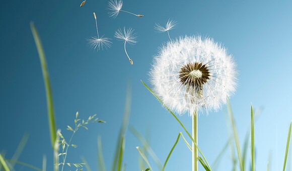 Zrównoważony rozwój w praktyce